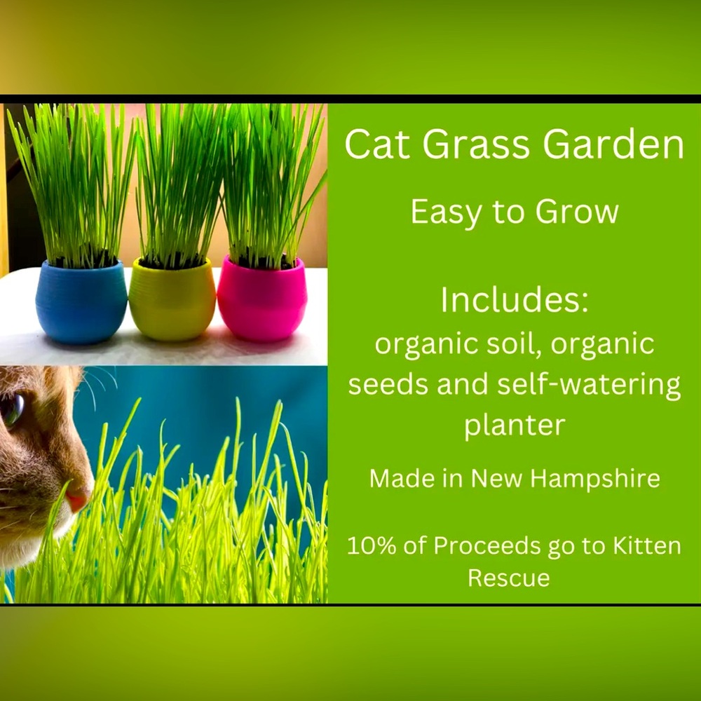 Cat grass garden plant